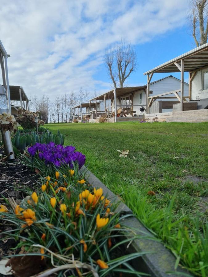 Chalet Tulpenweide - Recreatie Breezand Экстерьер фото